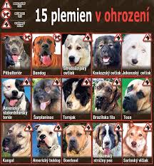 ohrozenie